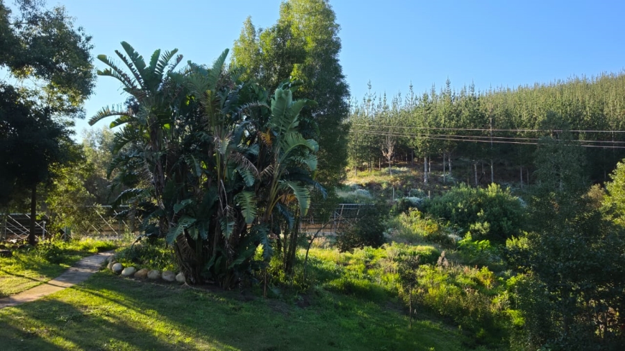 Commercial Property for Sale in Sedgefield Rural Western Cape